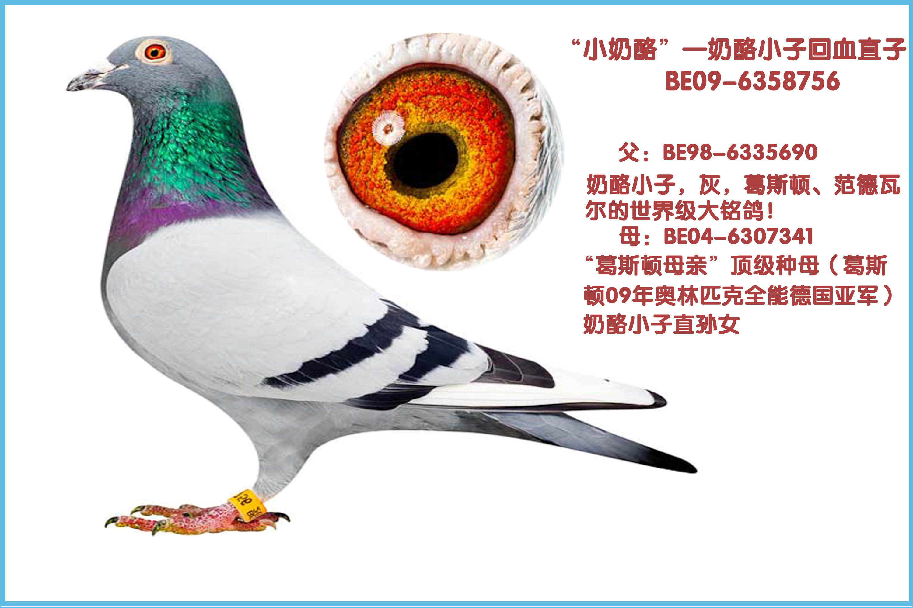 "奶酪小子"近亲直孙女