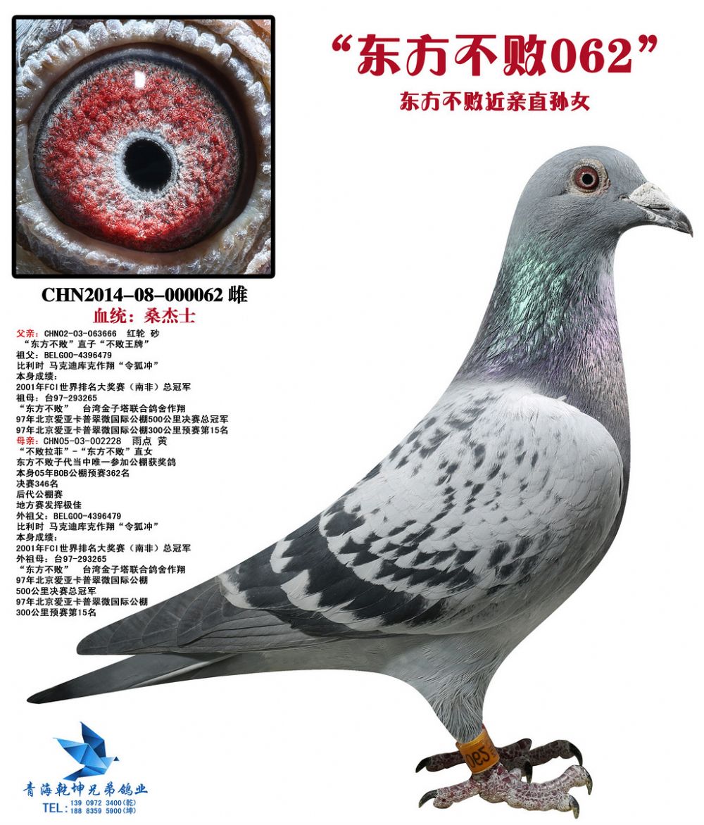 东方不败近亲直孙女