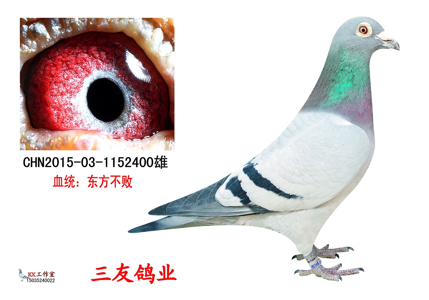 "不败公主"回血直子400