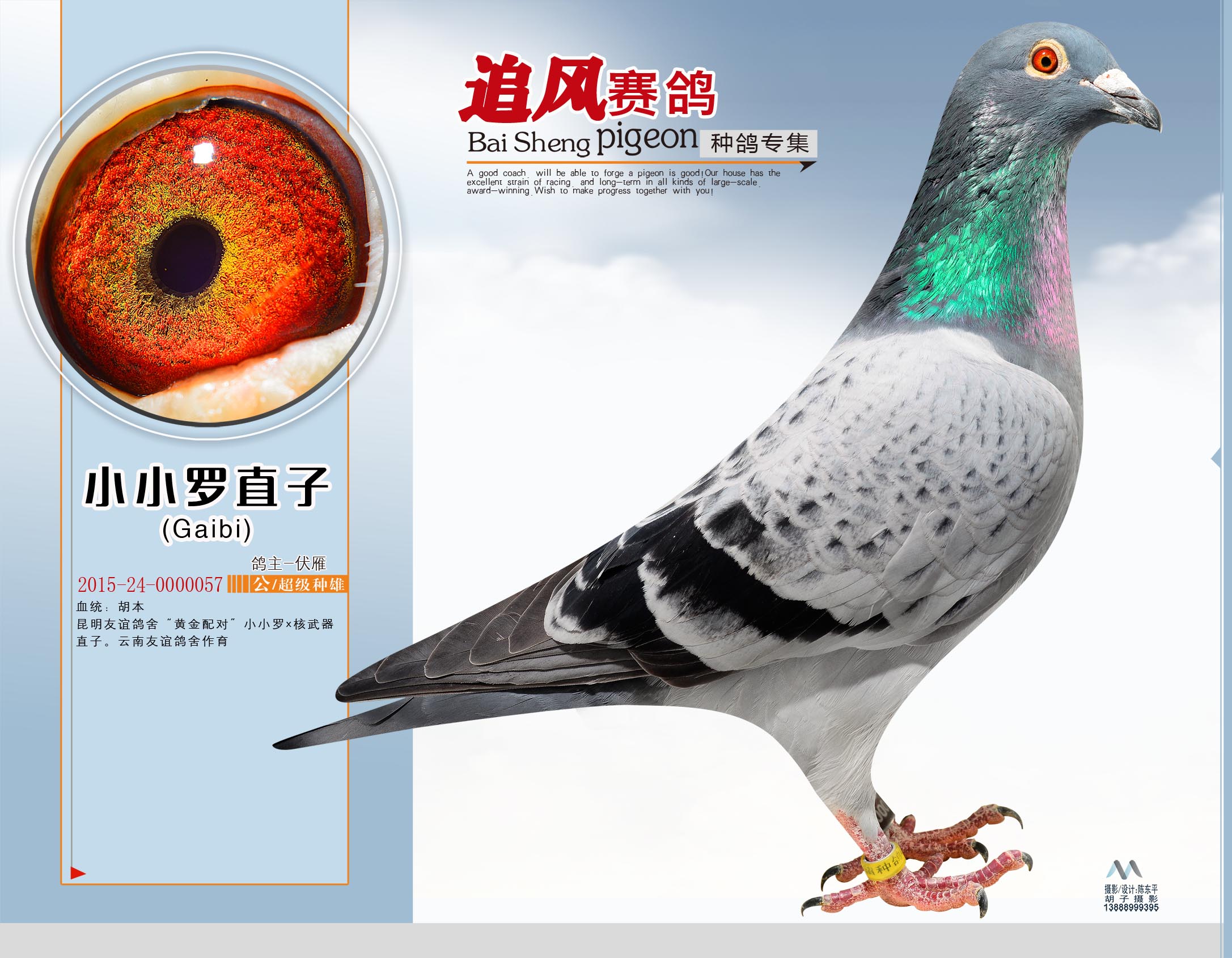 小小罗直子