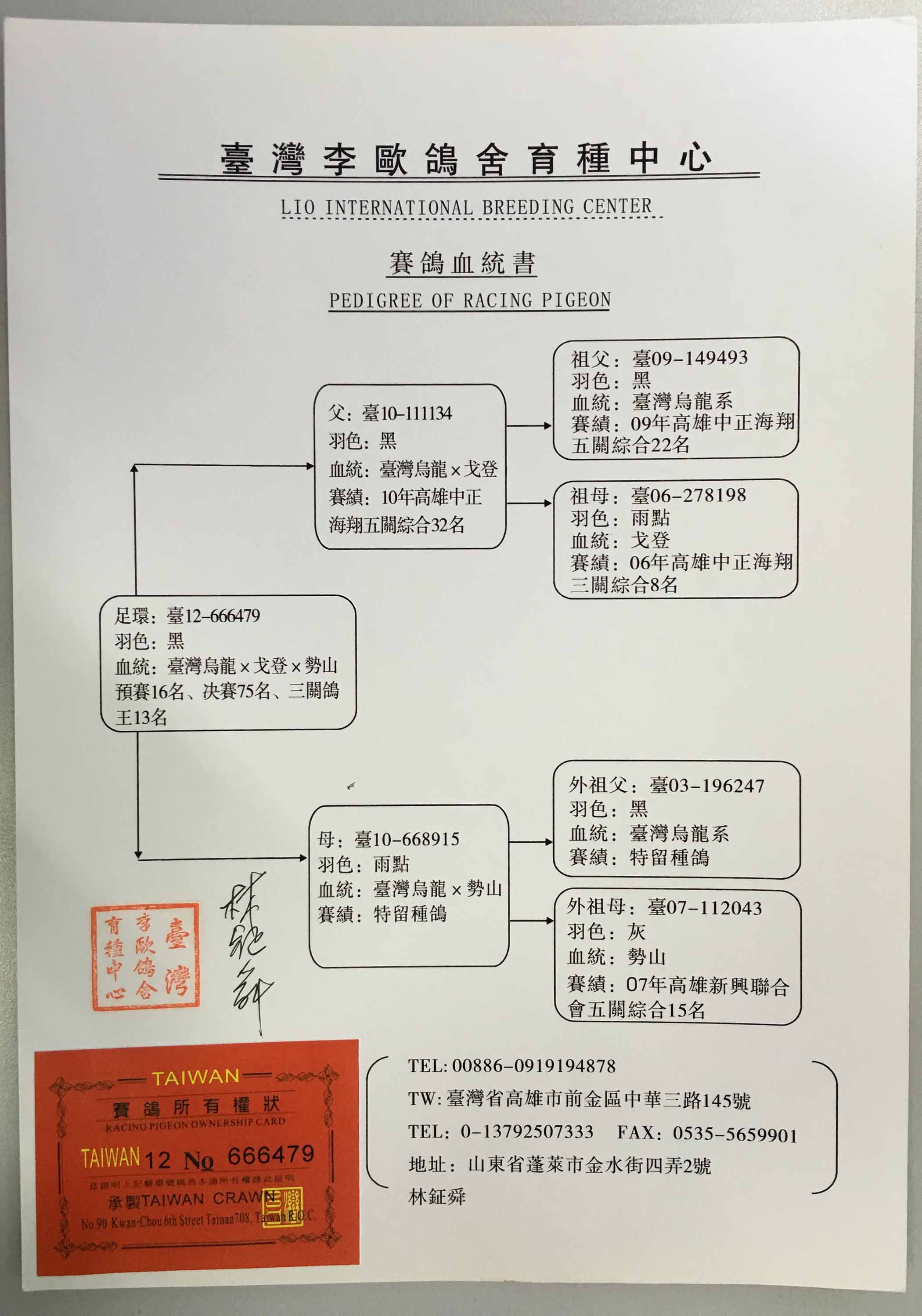 北京京广赛鸽公棚决赛季军