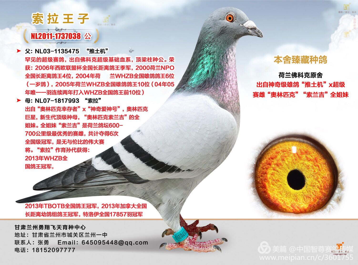 索拉王子【推土机x索拉】