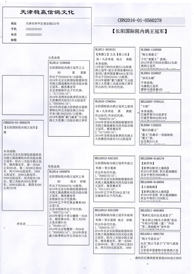 种鸽回血秘诀图片