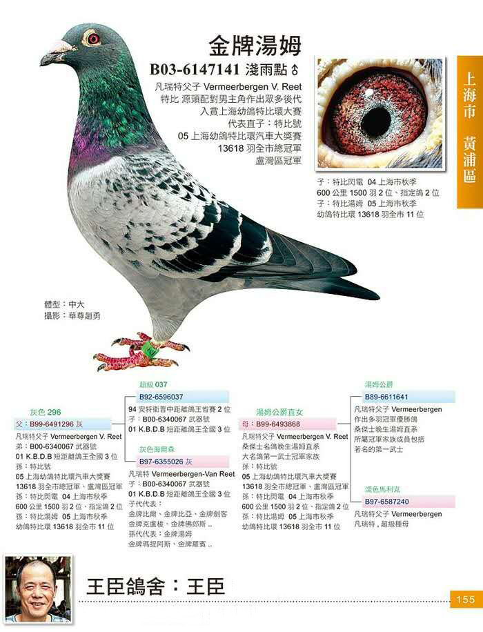 上海王臣金牌汤姆直子