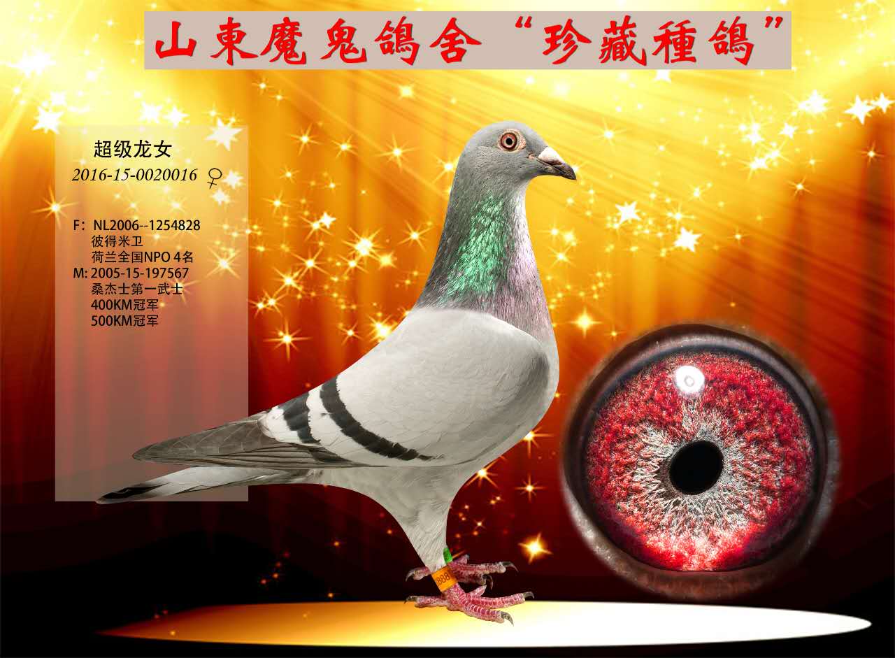 桑杰士第一武士