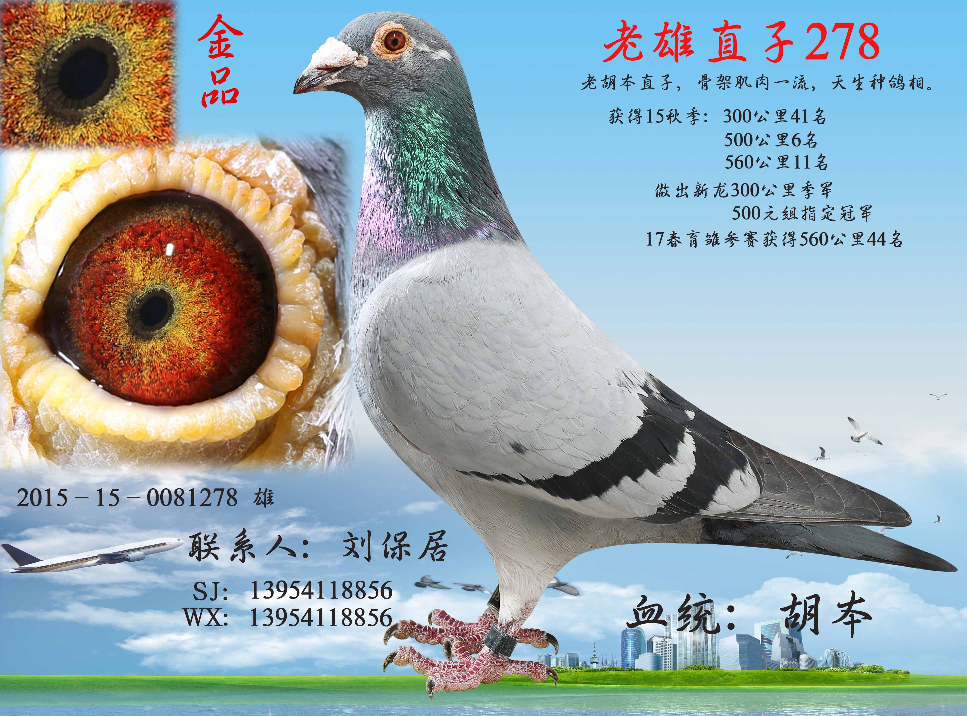 老雄直子
