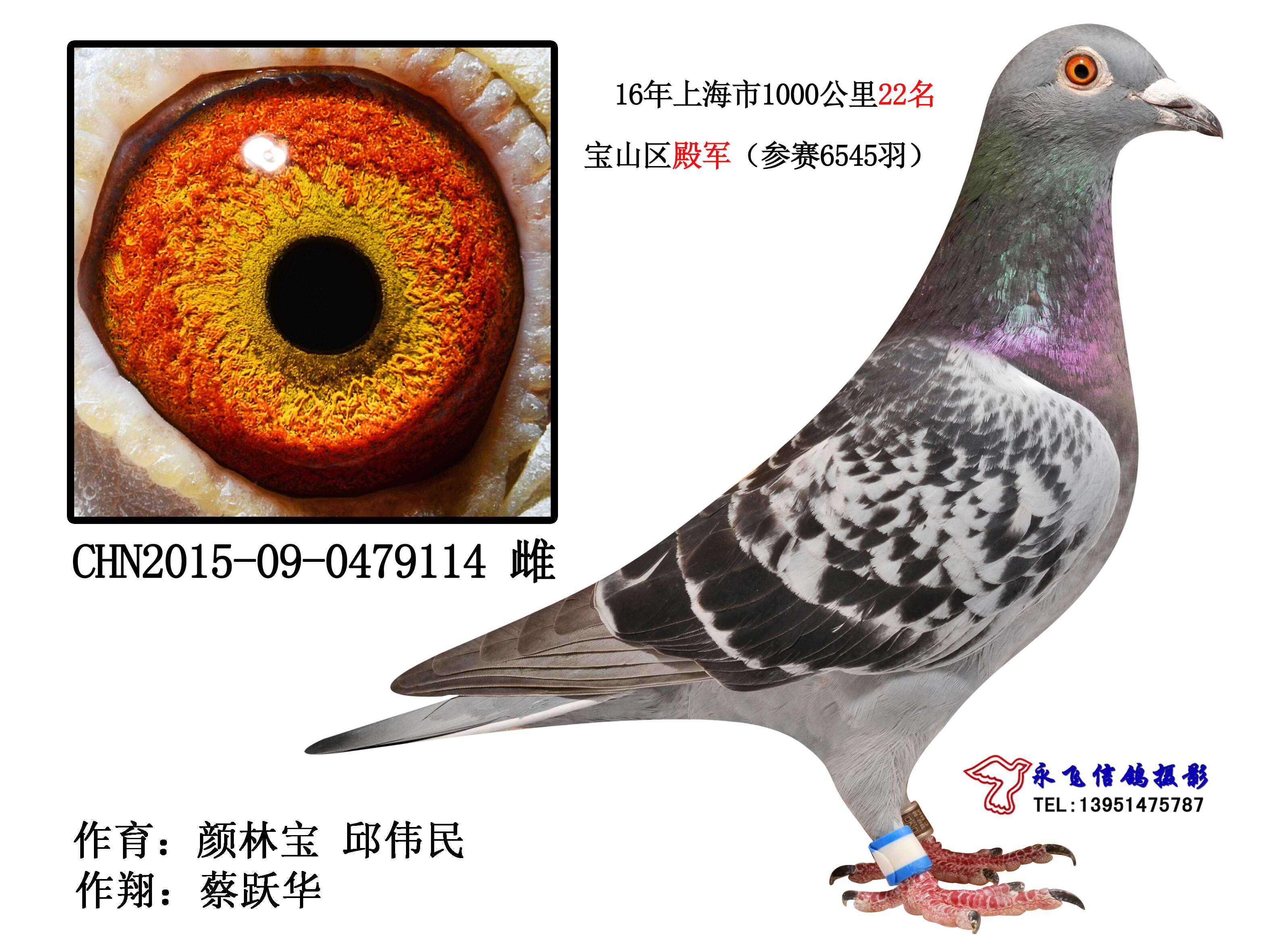 2016年上海市千公里22名