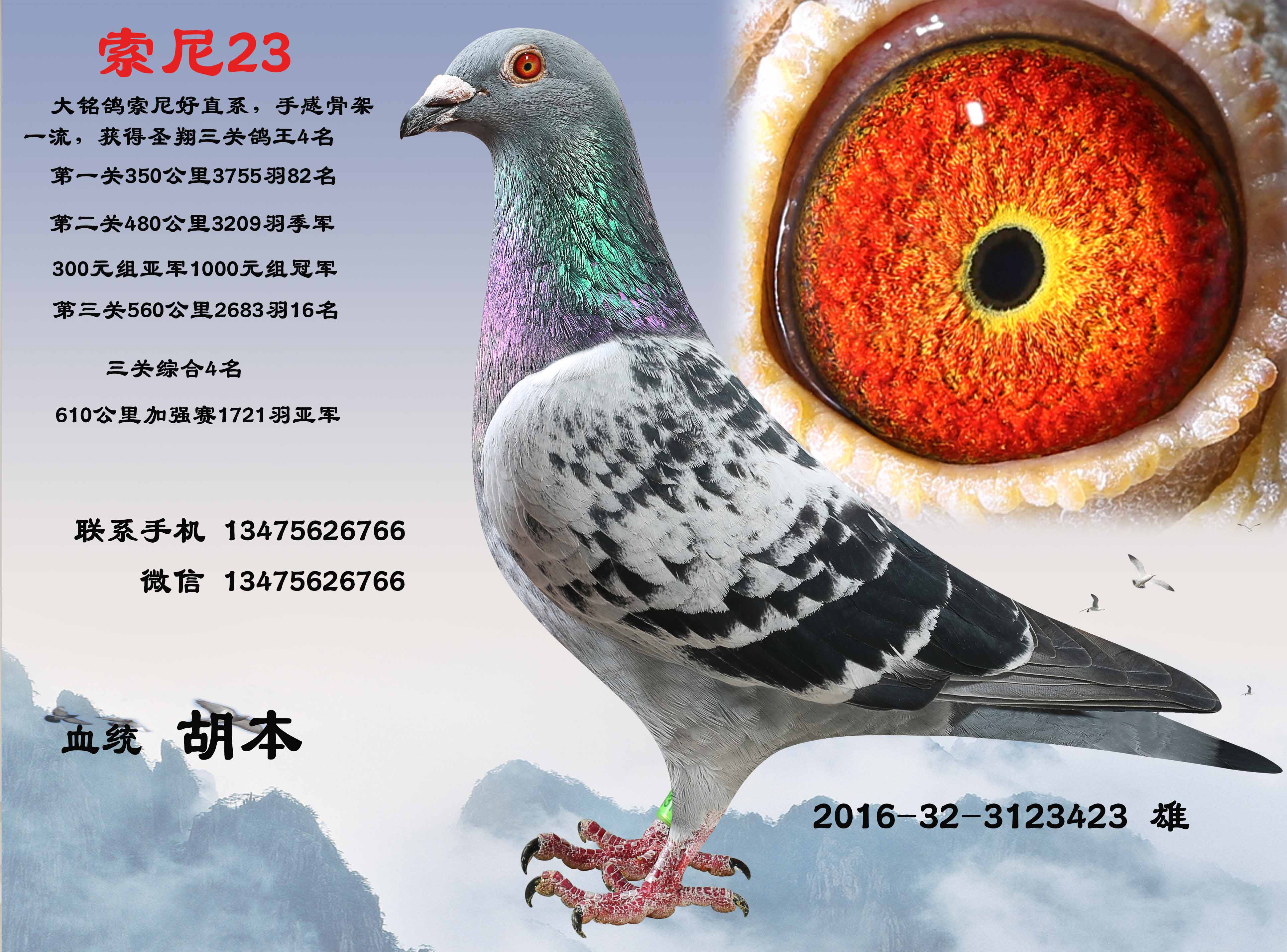索尼23