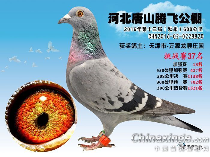 公棚加强赛第37名