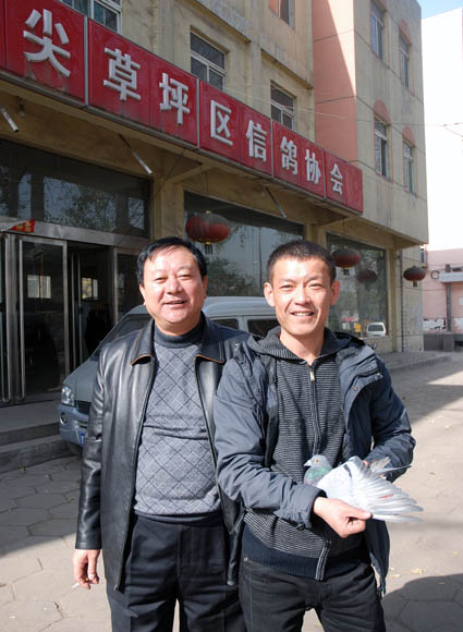 2010年草坪总冠军验鸽照片_山西精英赛鸽传媒-中信网爱鸽商城