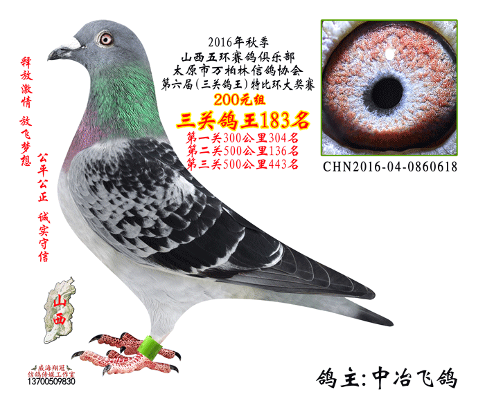 16年秋万柏林三关鸽王200元组183名