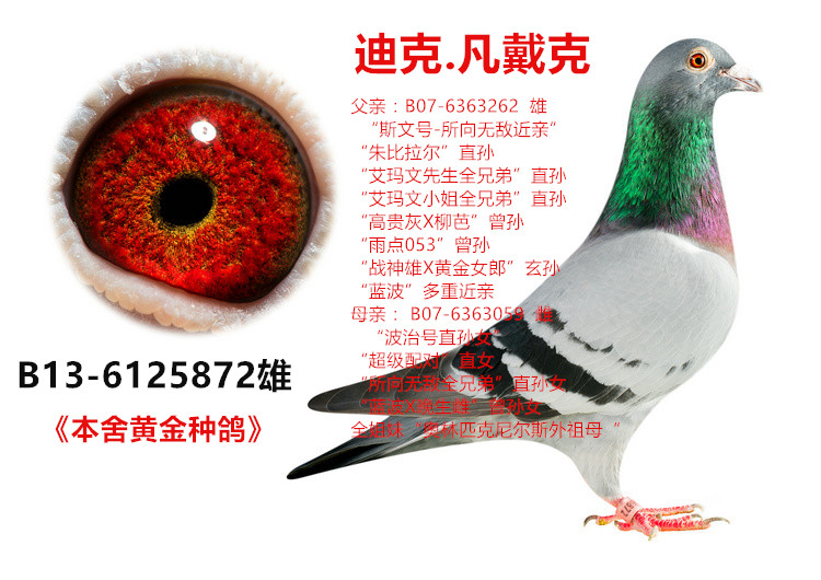 凡戴克"所向无敌"近亲