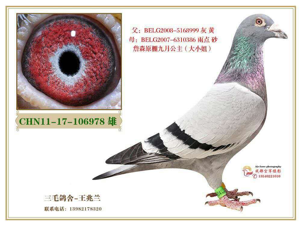 詹森麦克斯(九月公主大小姐)