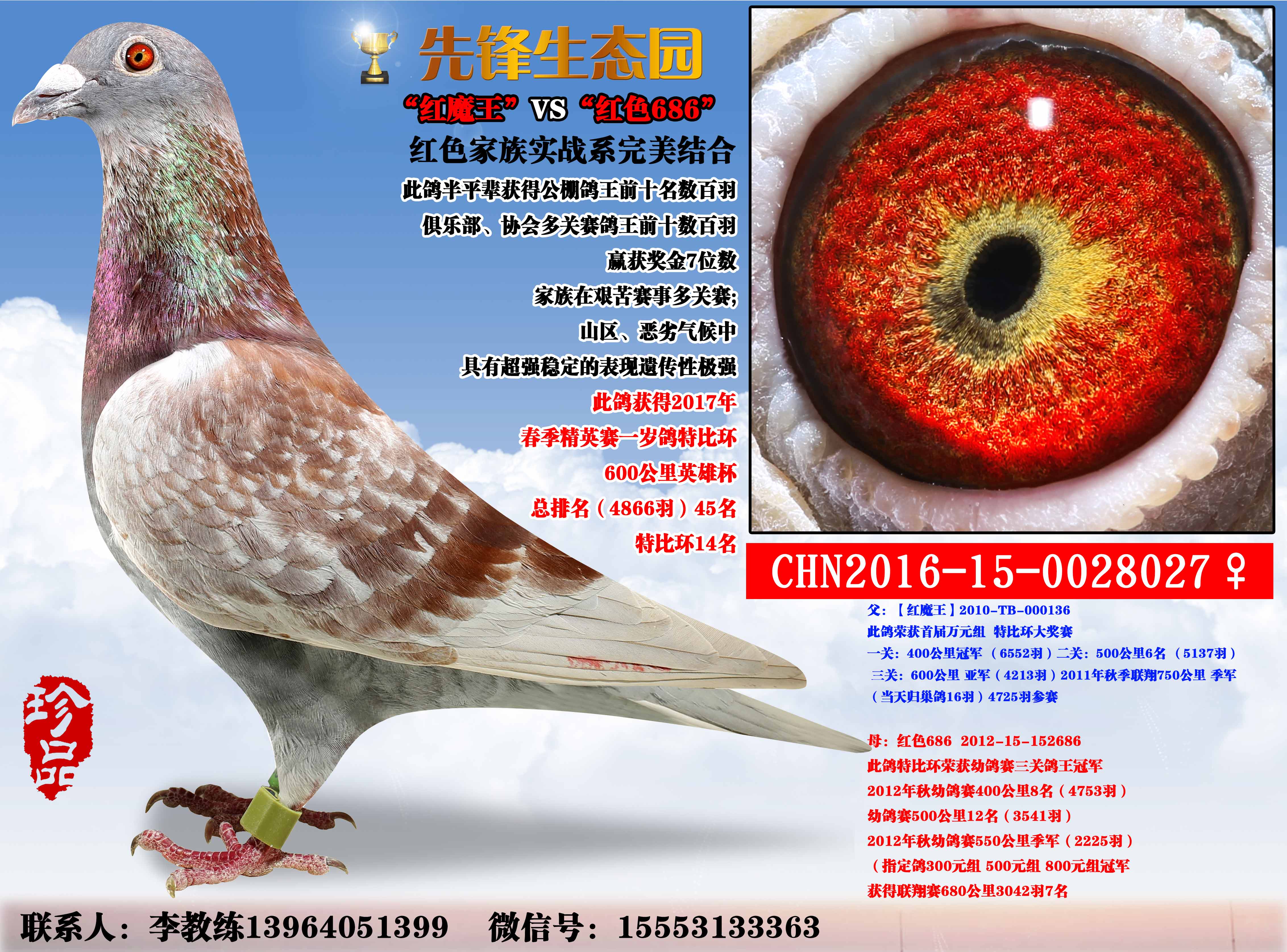 "红魔王"vs"红色686"