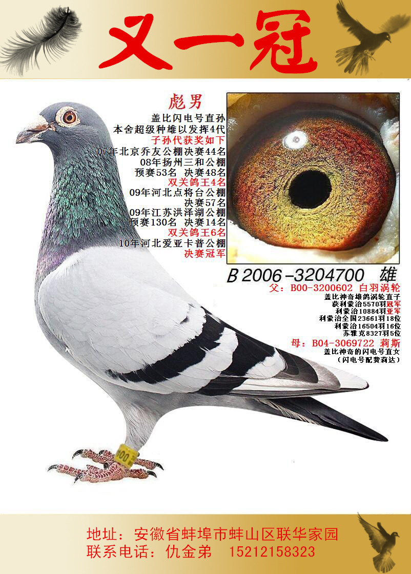 又一冠仇金弟