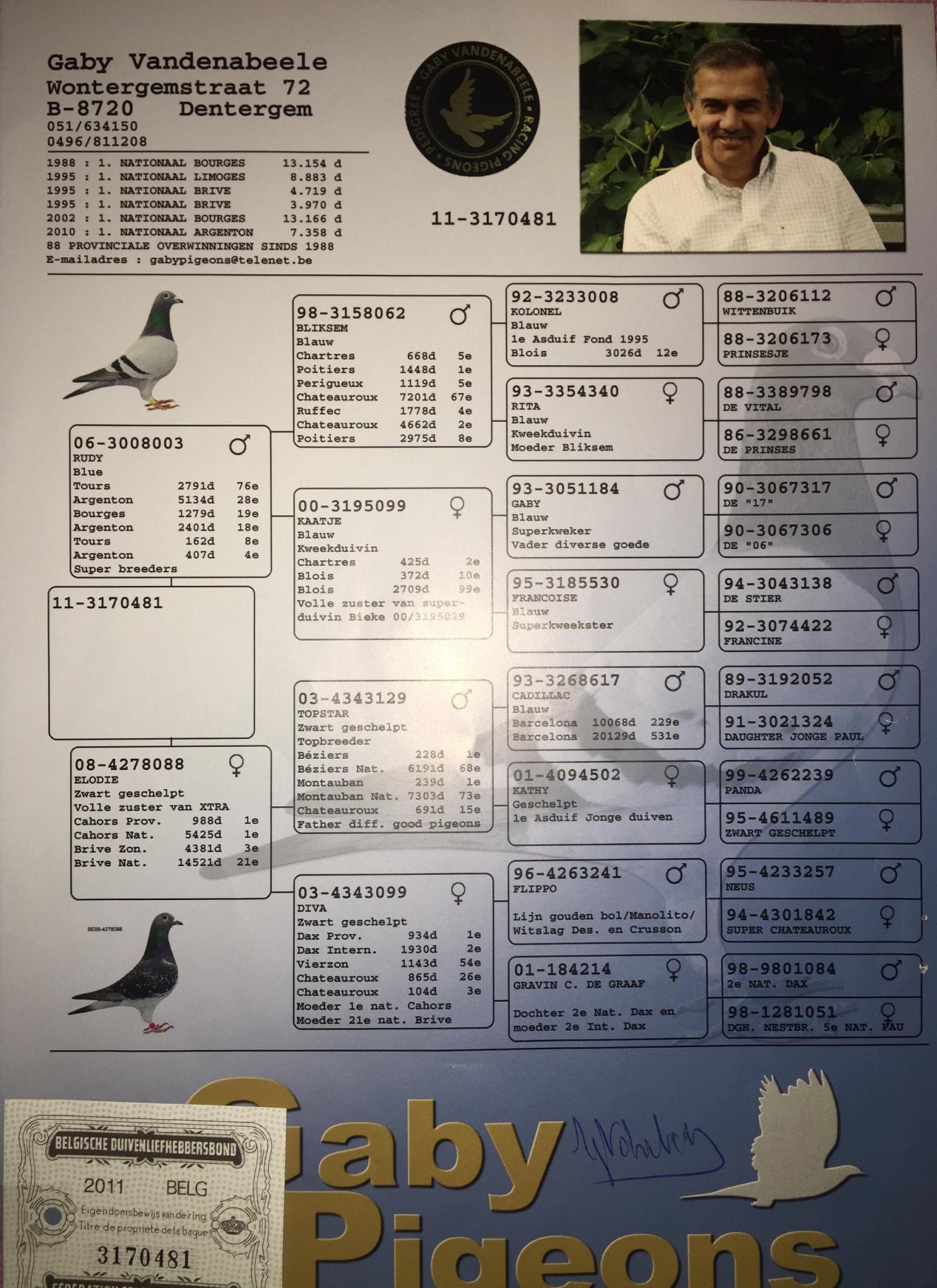 盖比"鲁迪"直女