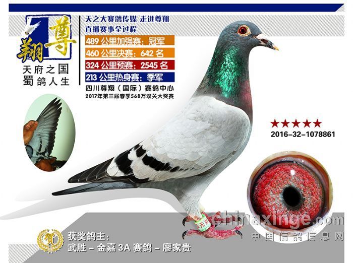 北京陈文彬鸽业展厅图片