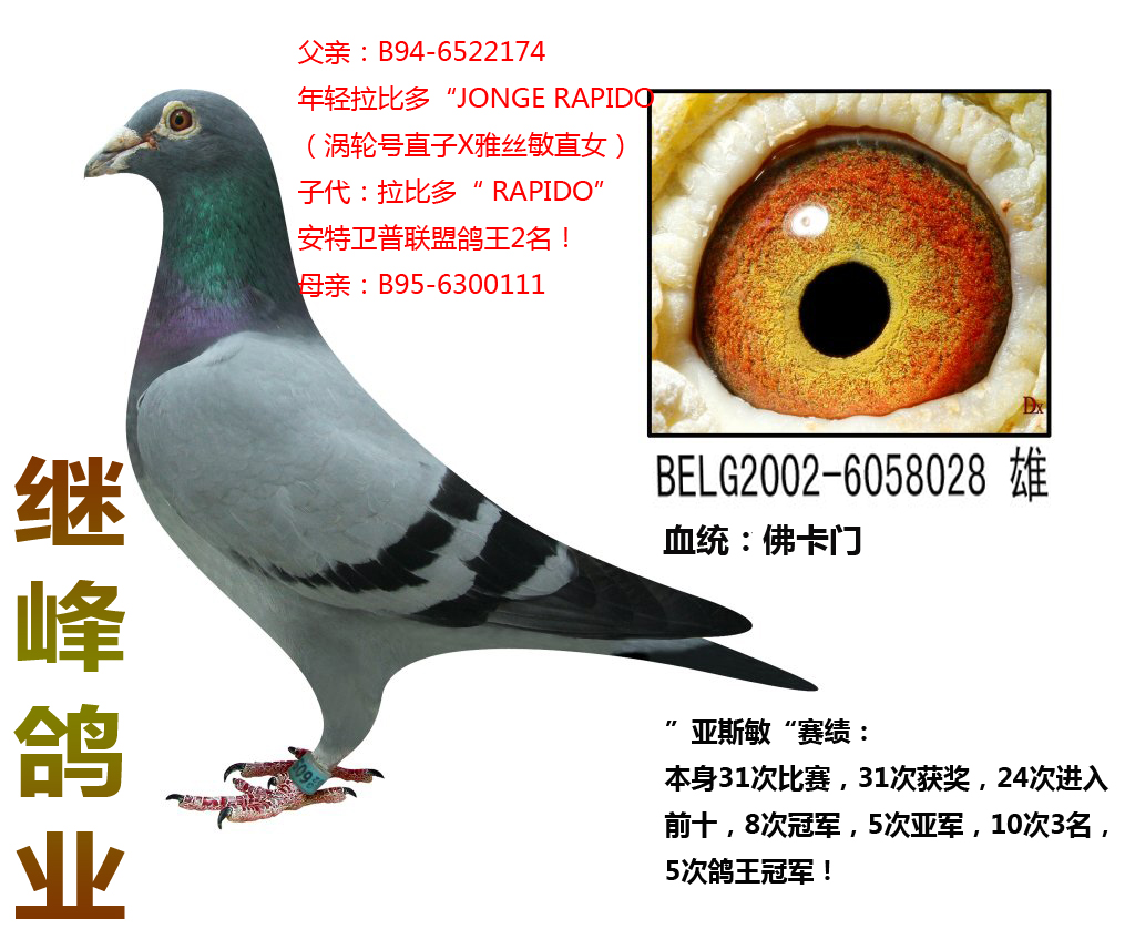 比利时印钞机乔斯佛卡门原舍