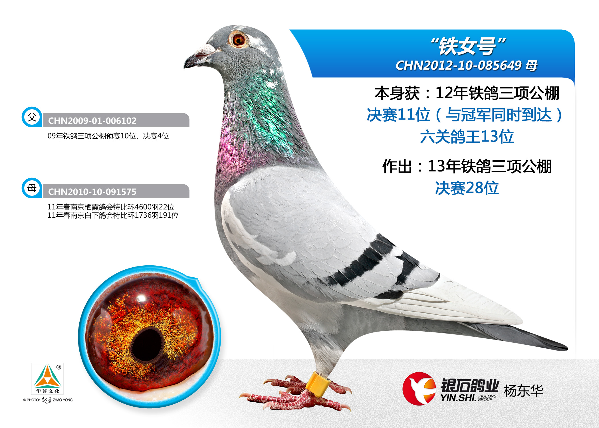 铁鸽三项决赛13名