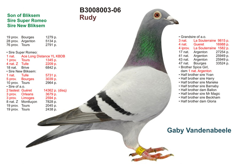 盖比【鲁迪】【白腹号女郎】直子