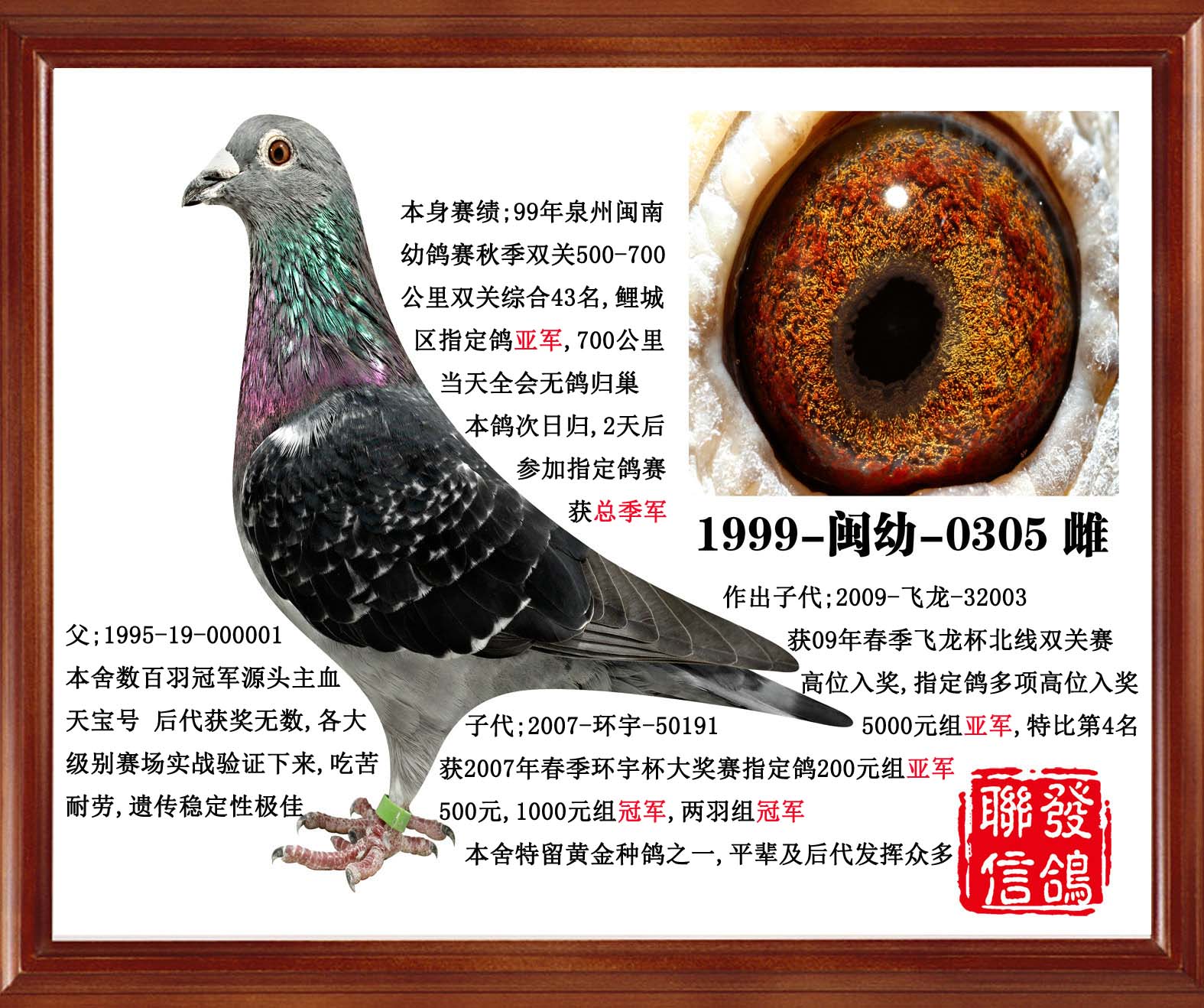 联发305