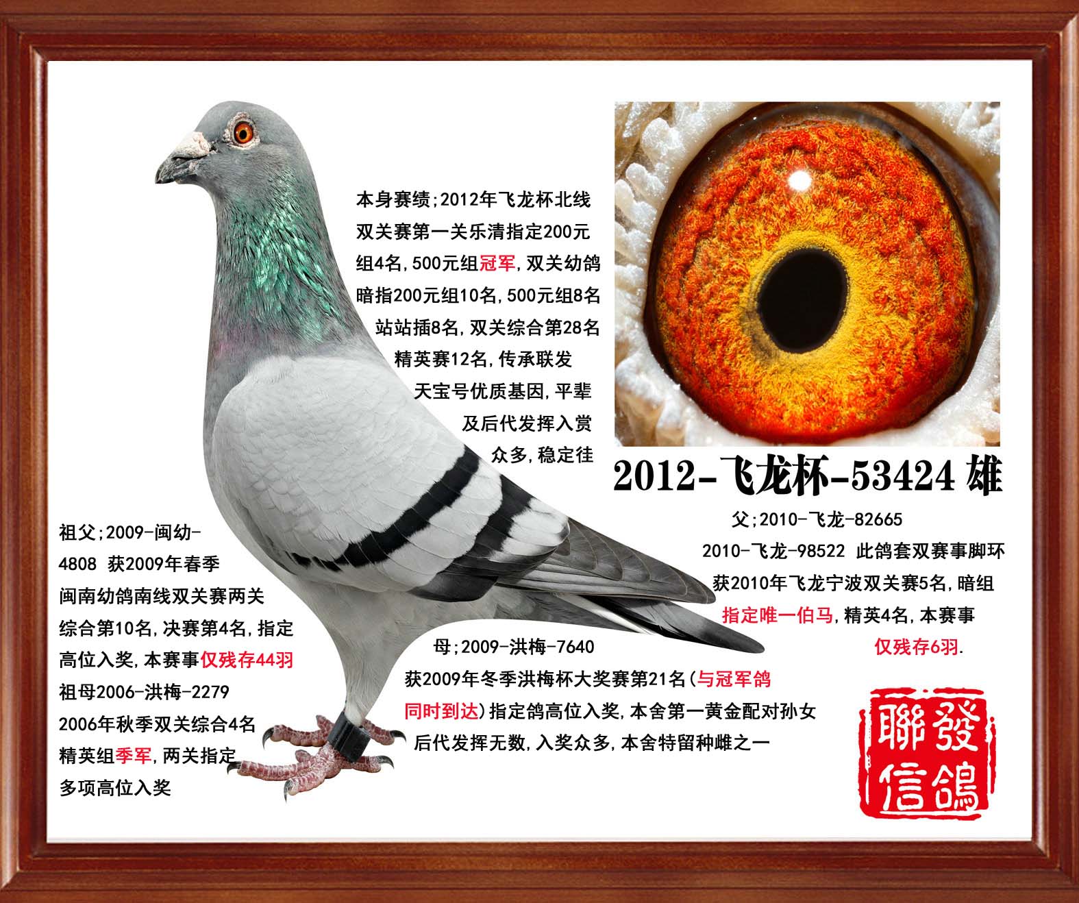 2012-飞龙-53424_联发信鸽_ag188.com爱鸽商城_中国信鸽信息网