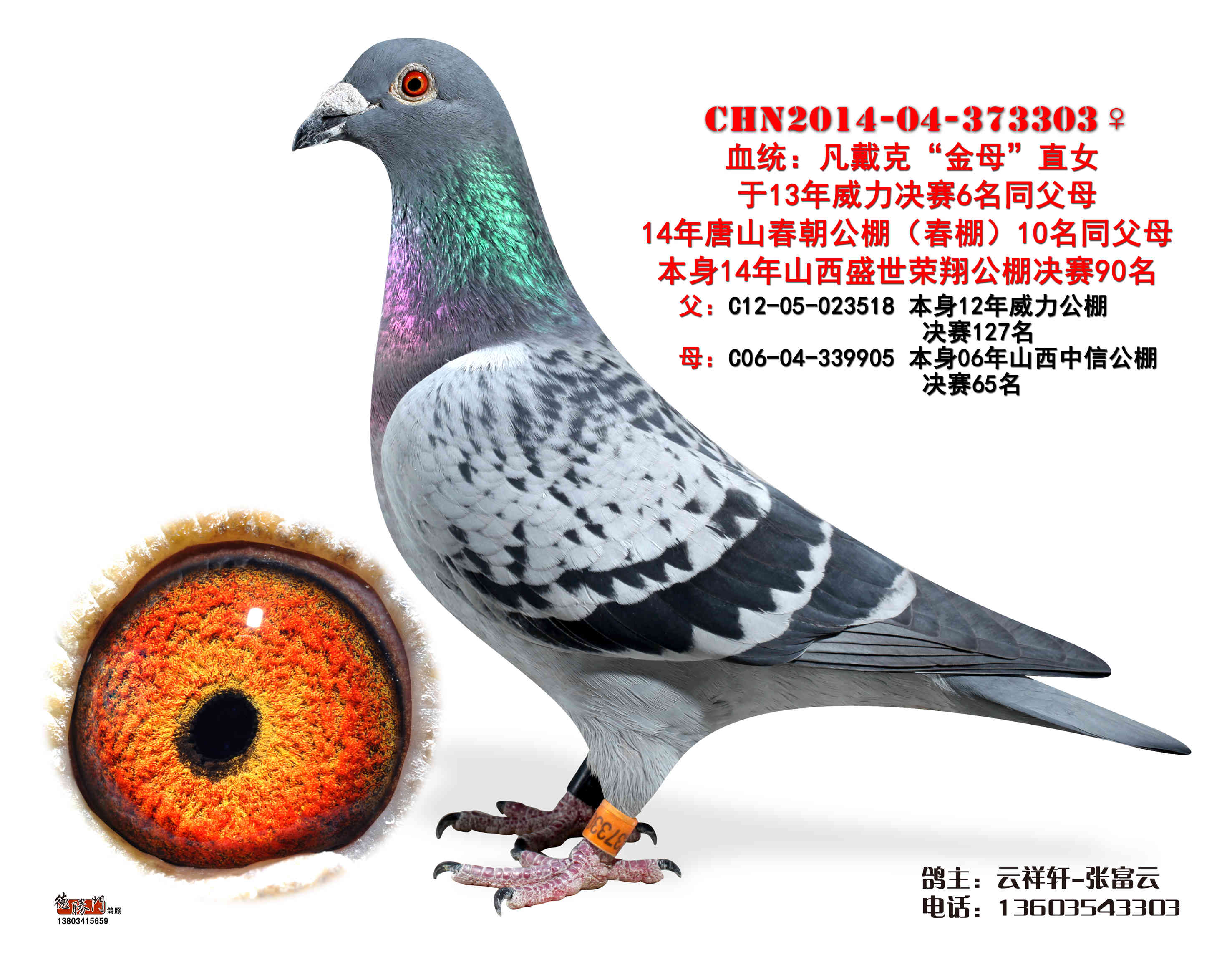 凡戴克-金母直女-303