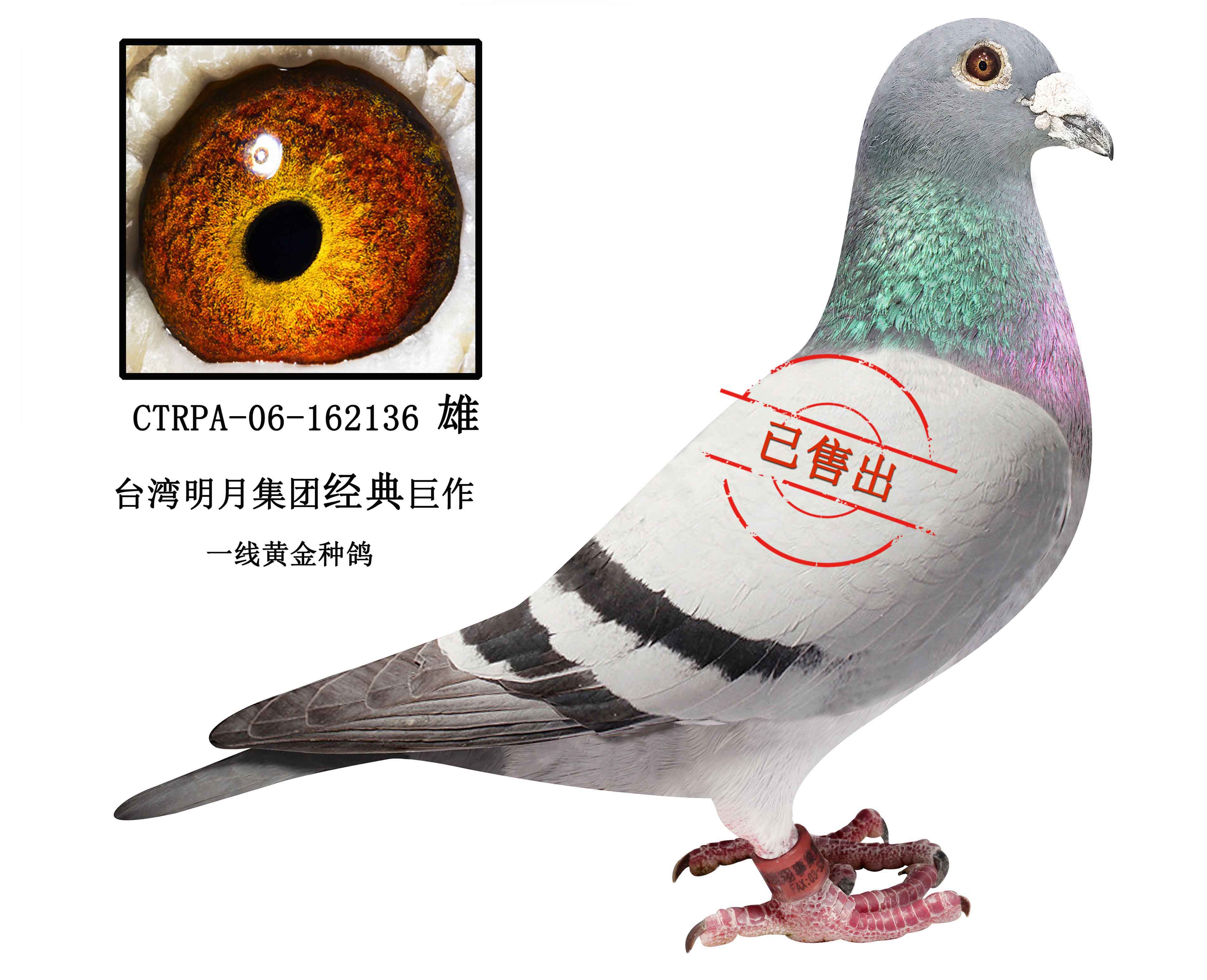 台湾明月集团-桑杰士国家号