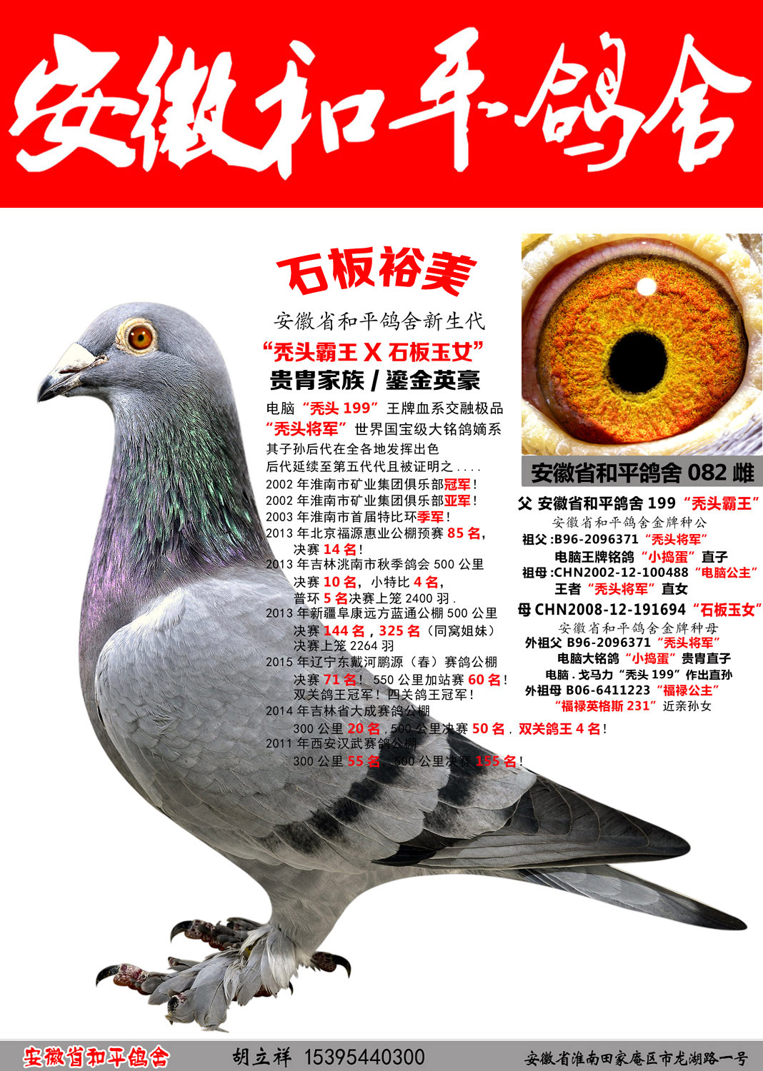 电脑61戈马利毛脚秃头199【石板裕美】