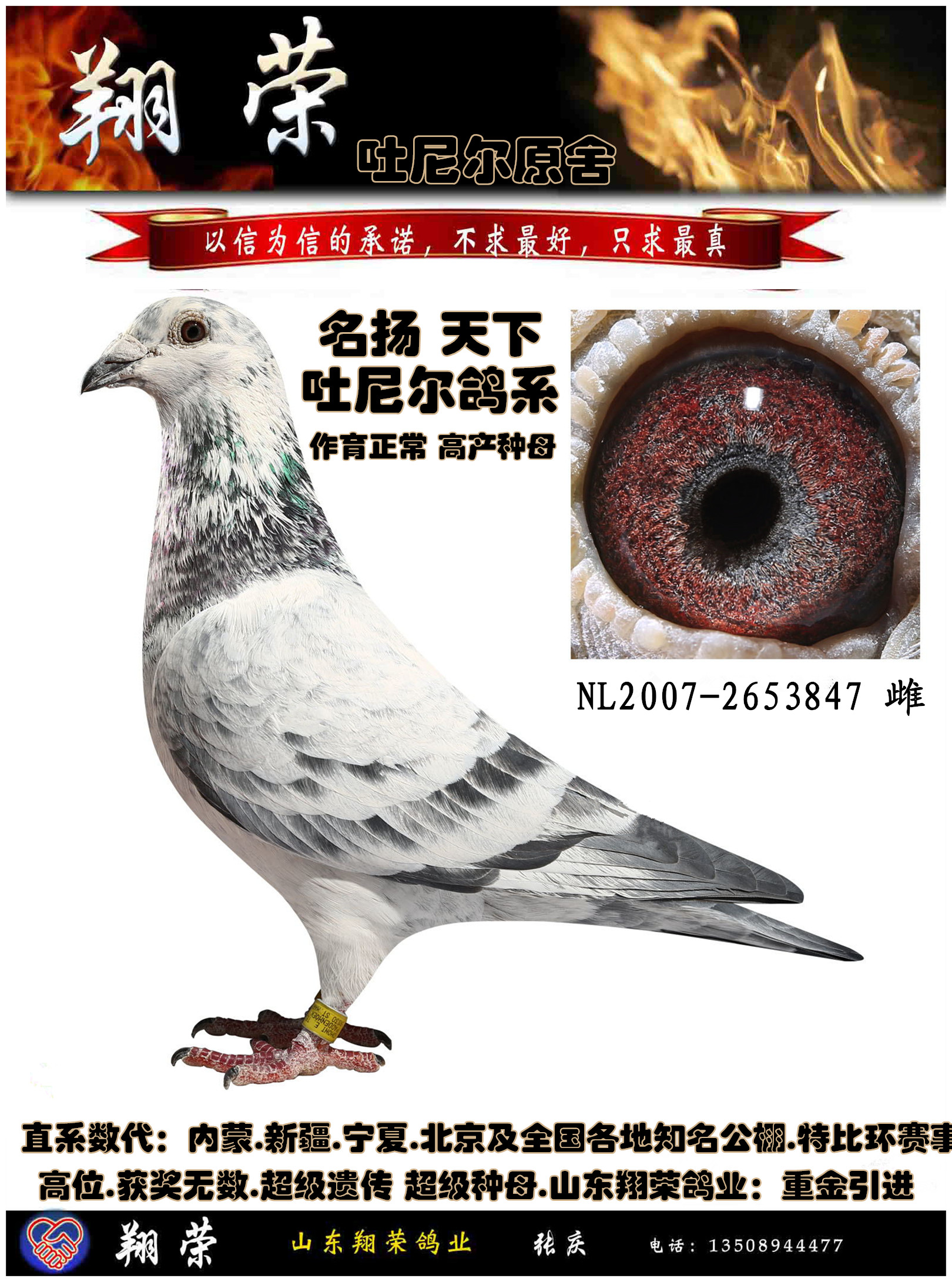 吐尼尔～原舍