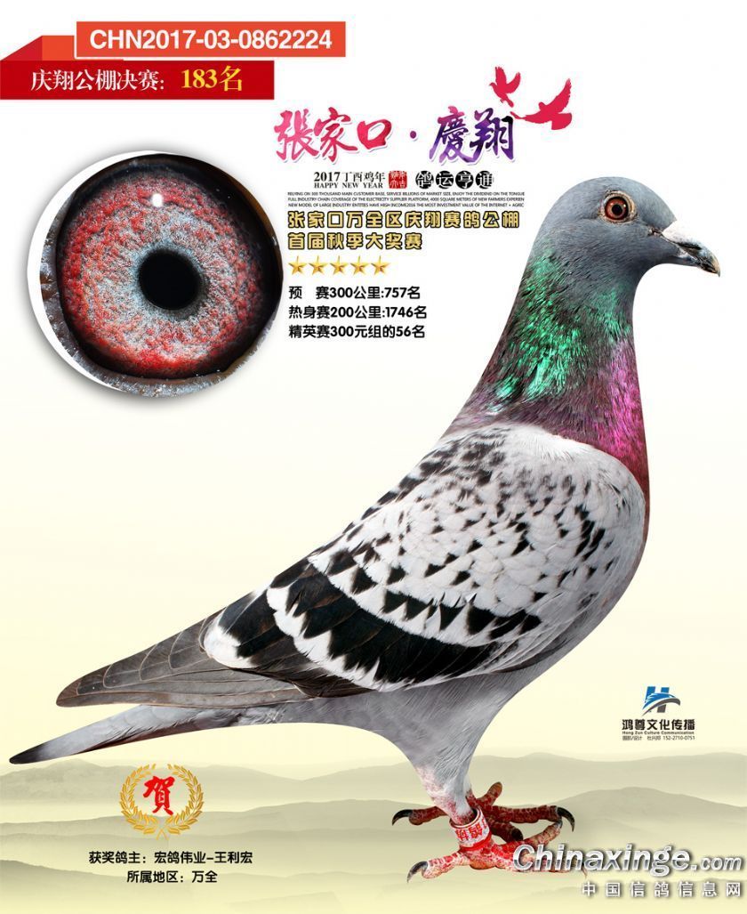 万全区庆翔公棚决赛183名