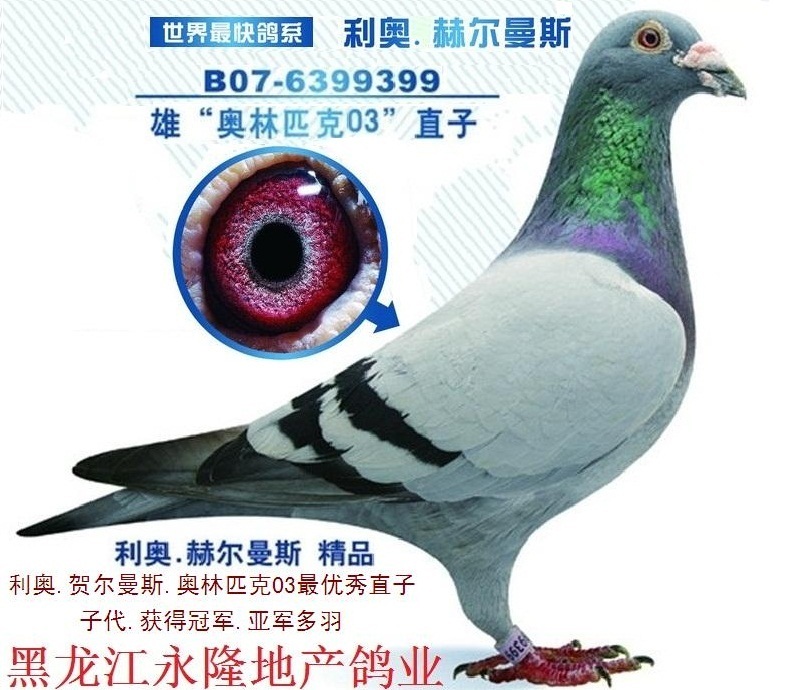 利奥奥林匹克原舍03直子