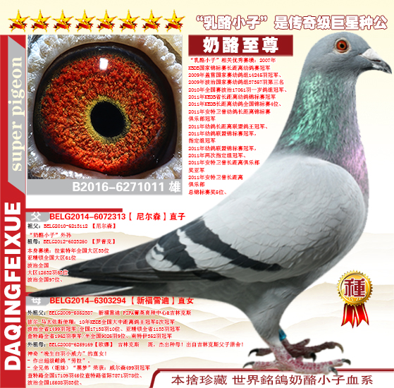 葛斯顿,奶酪至尊