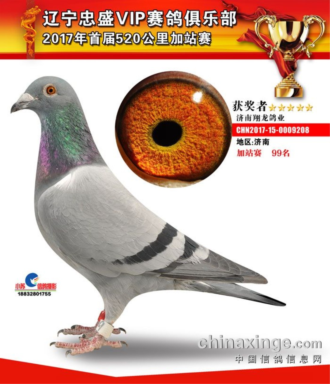 辽宁省辽阳市忠盛vip加站赛99名_翔龙鸽业_ ag188.