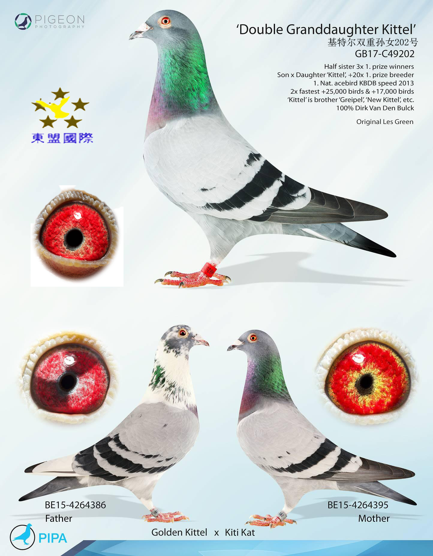 基特尔双重孙女202号