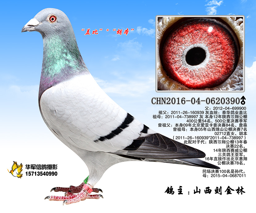 山西刘金林