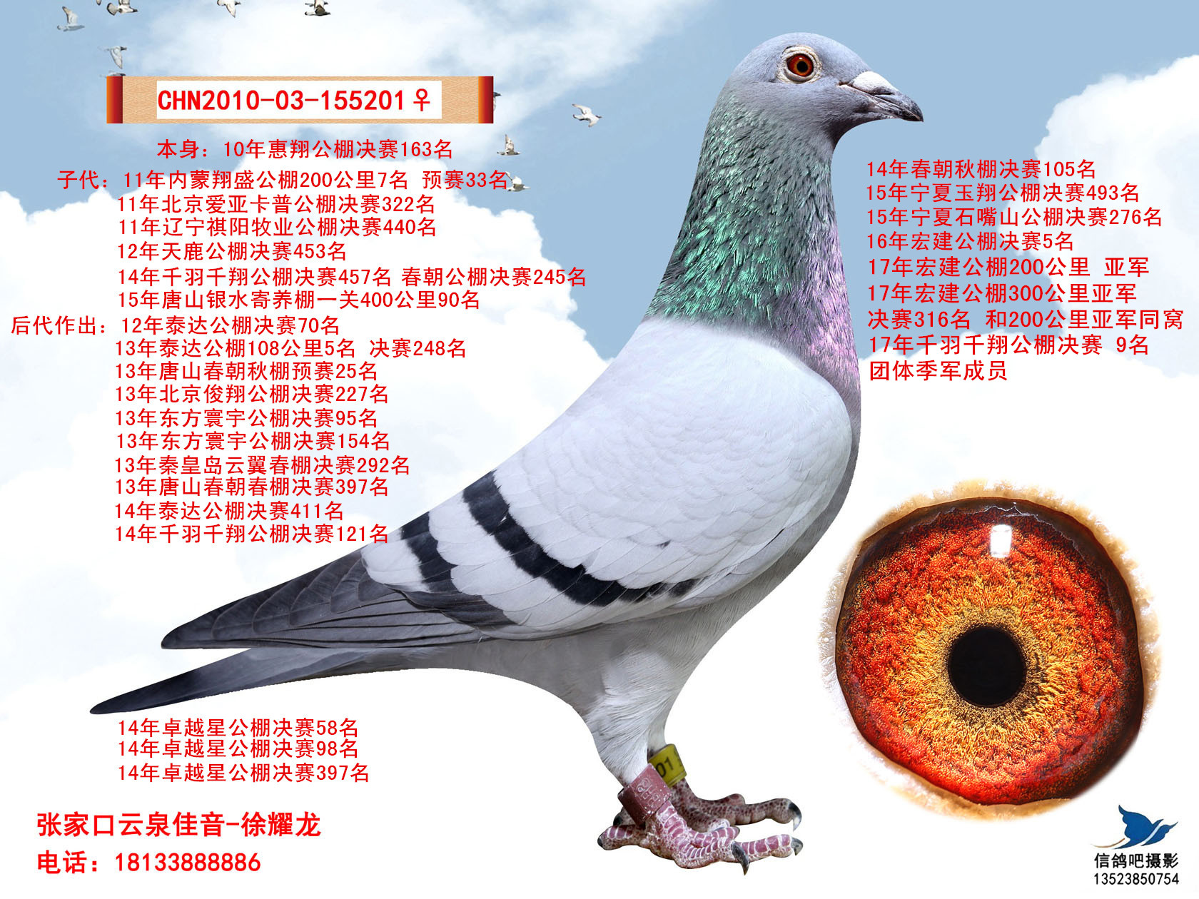利蒙治_云泉佳音-中信网爱鸽商城