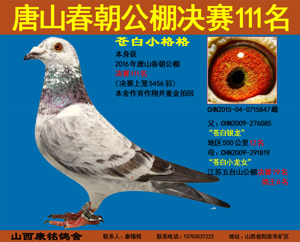 唐山春朝公棚决赛111名