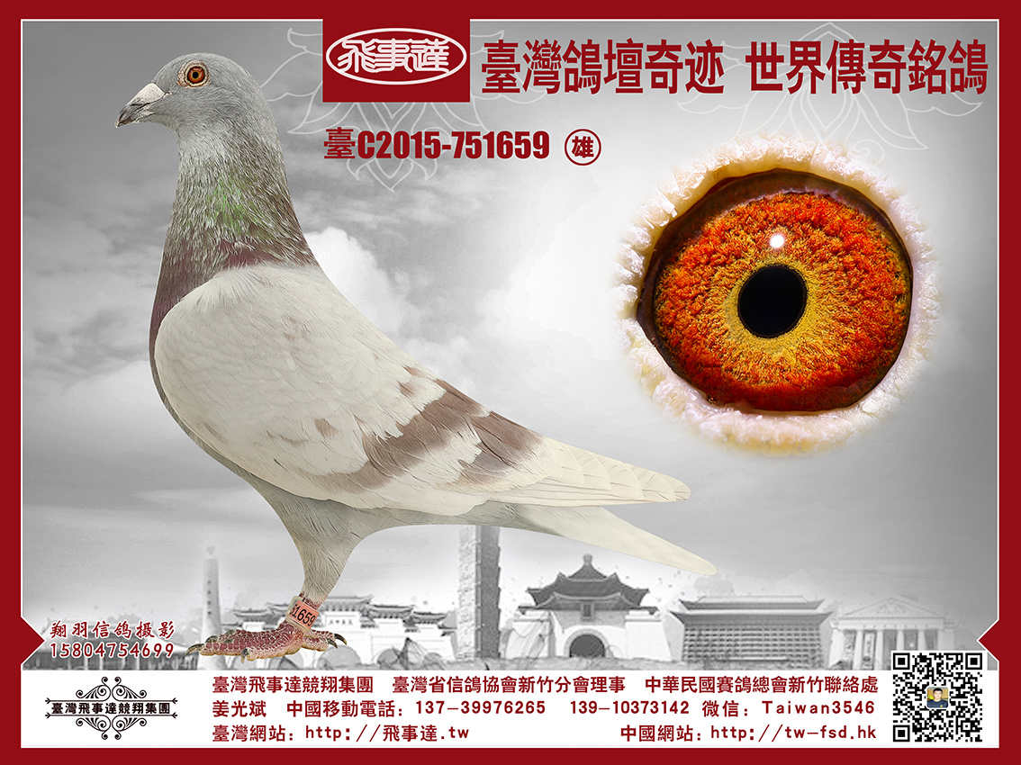 霍夫肯-波拉5000 659