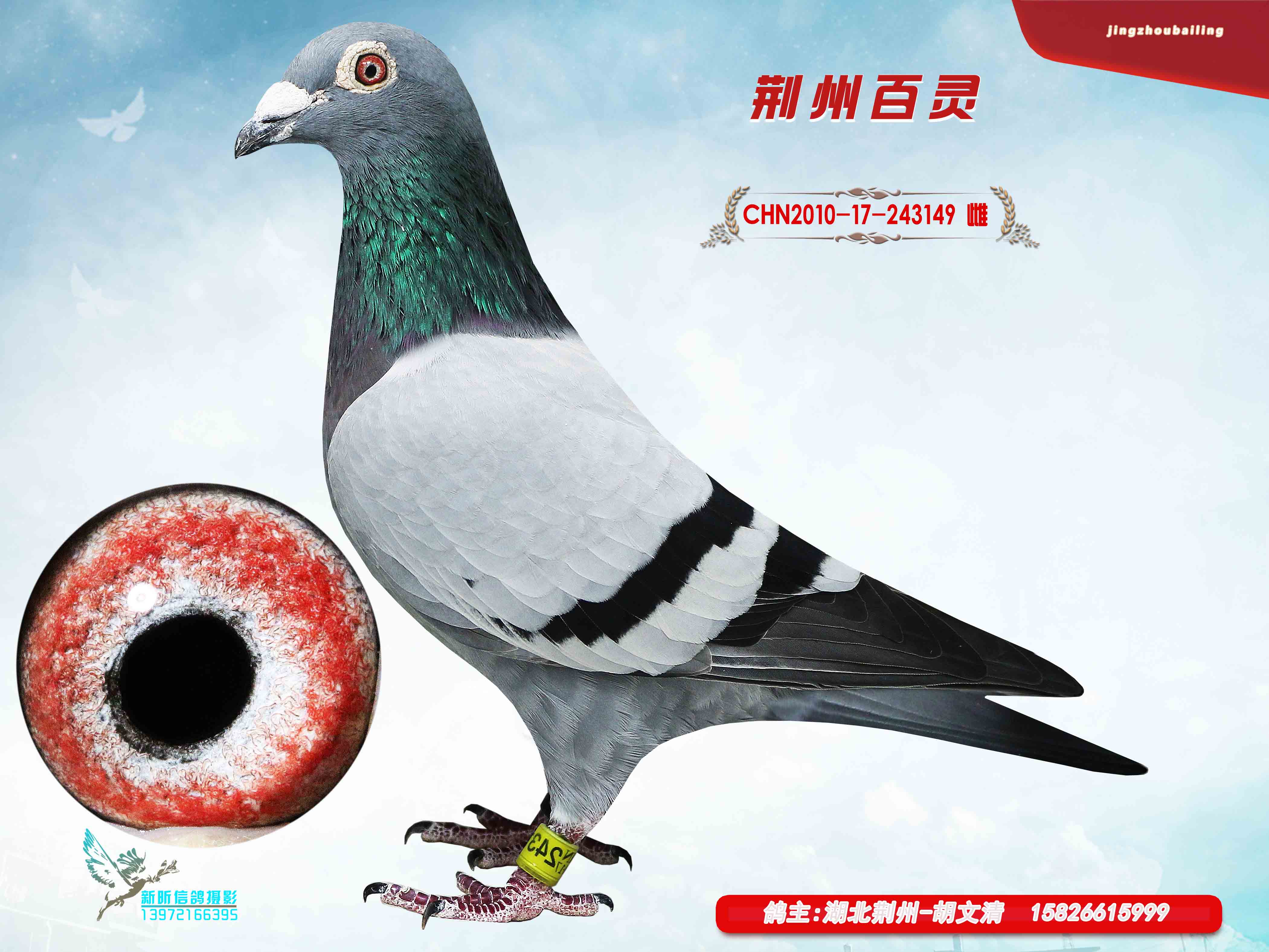 超级金母