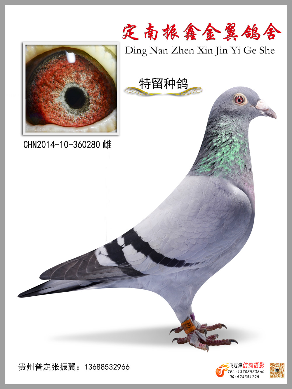 天一电脑280