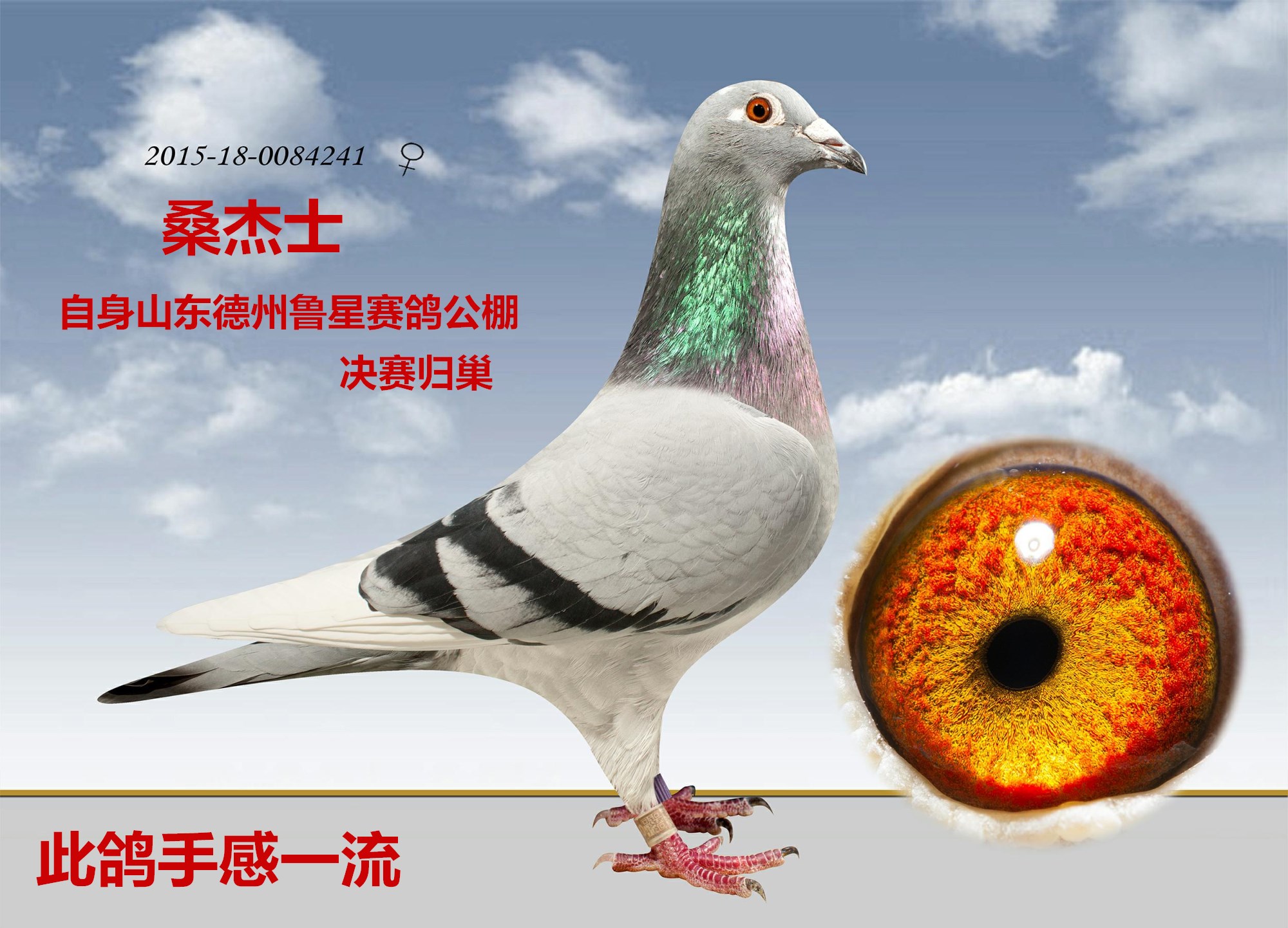 桑杰士
