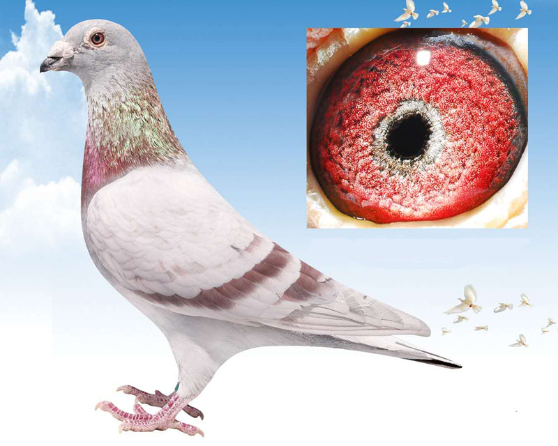 感谢王永波大哥支援