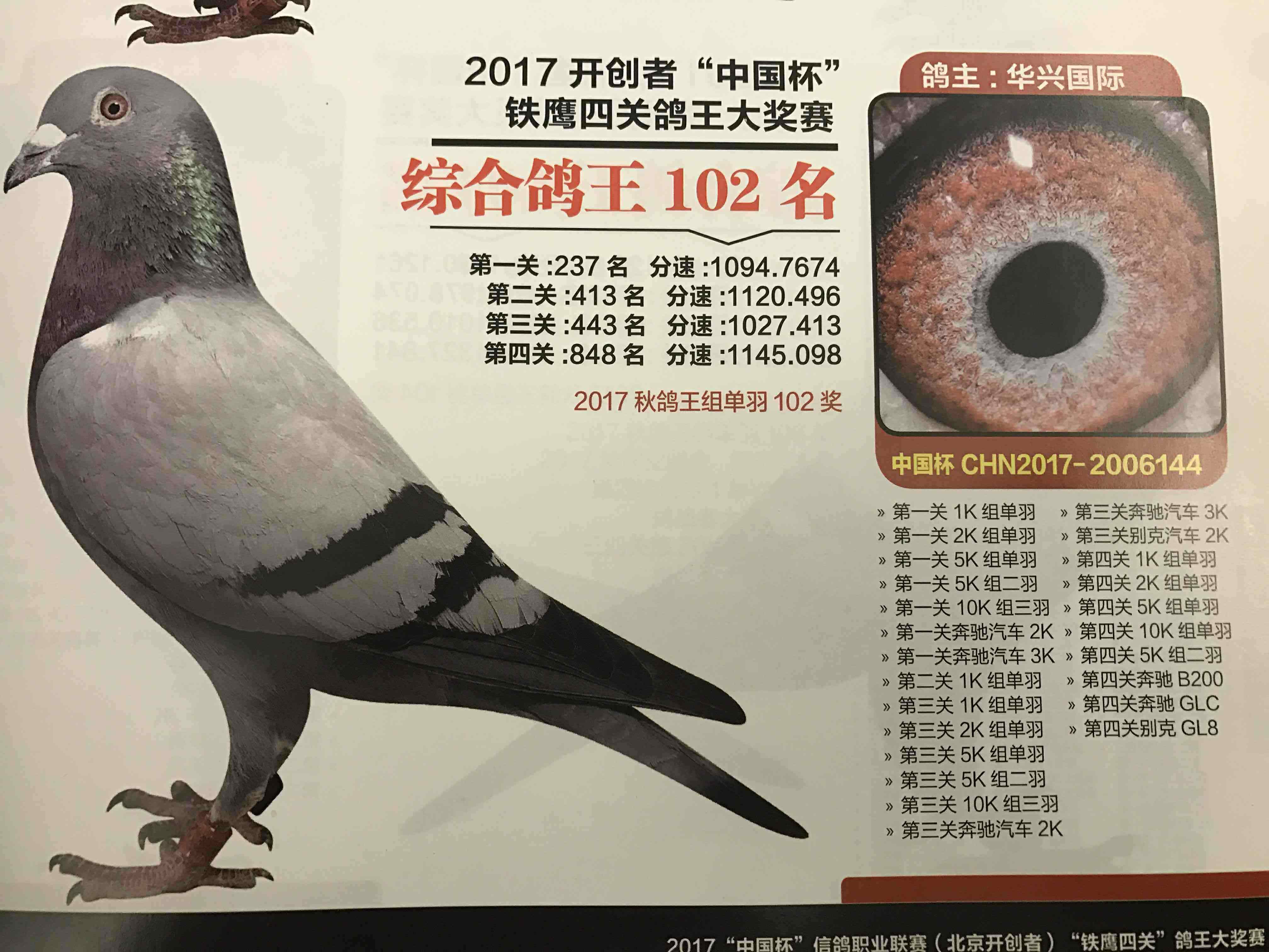 北京开创者四关鸽王102名