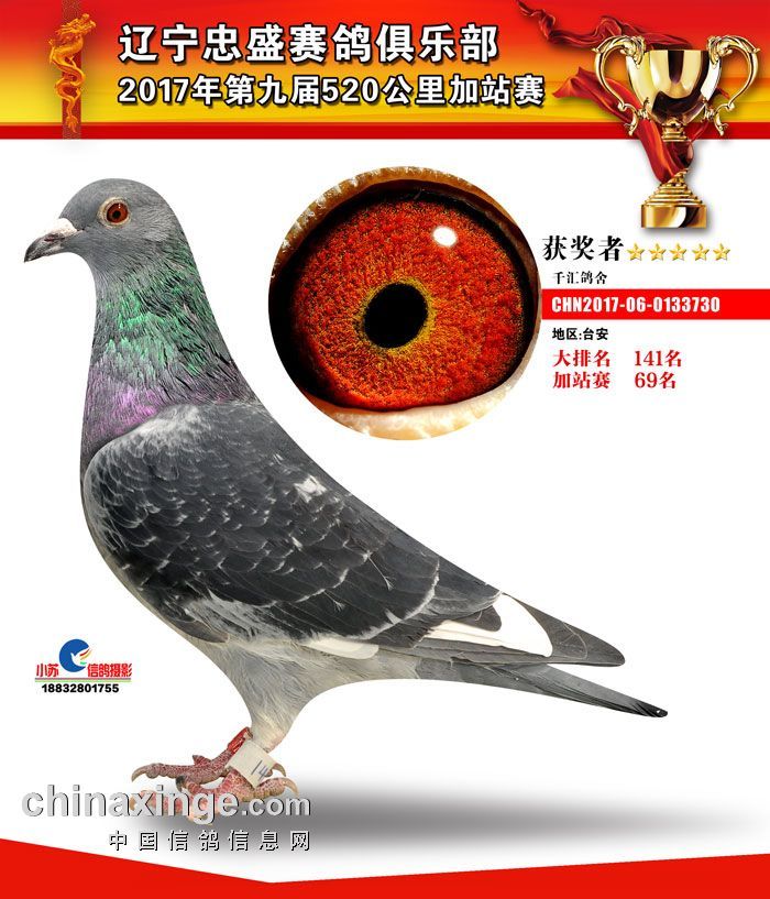 忠盛-加-69名_千汇鸽舍_ ag188.com爱鸽商城_中国信鸽信息网