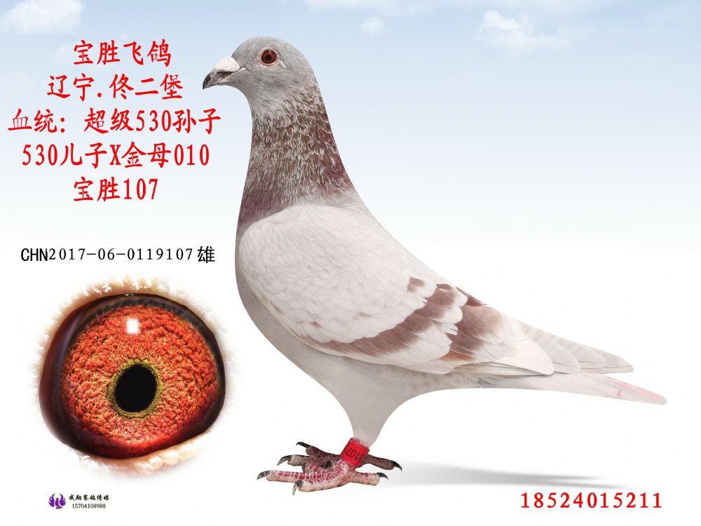 宝胜107