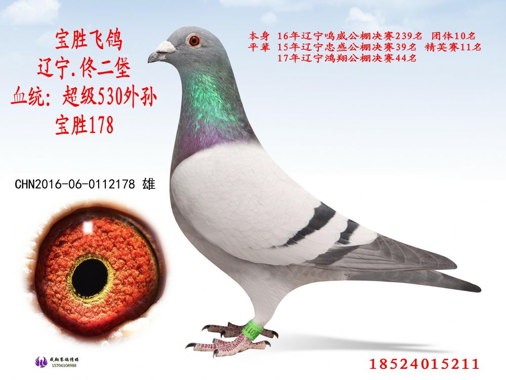 宝胜178