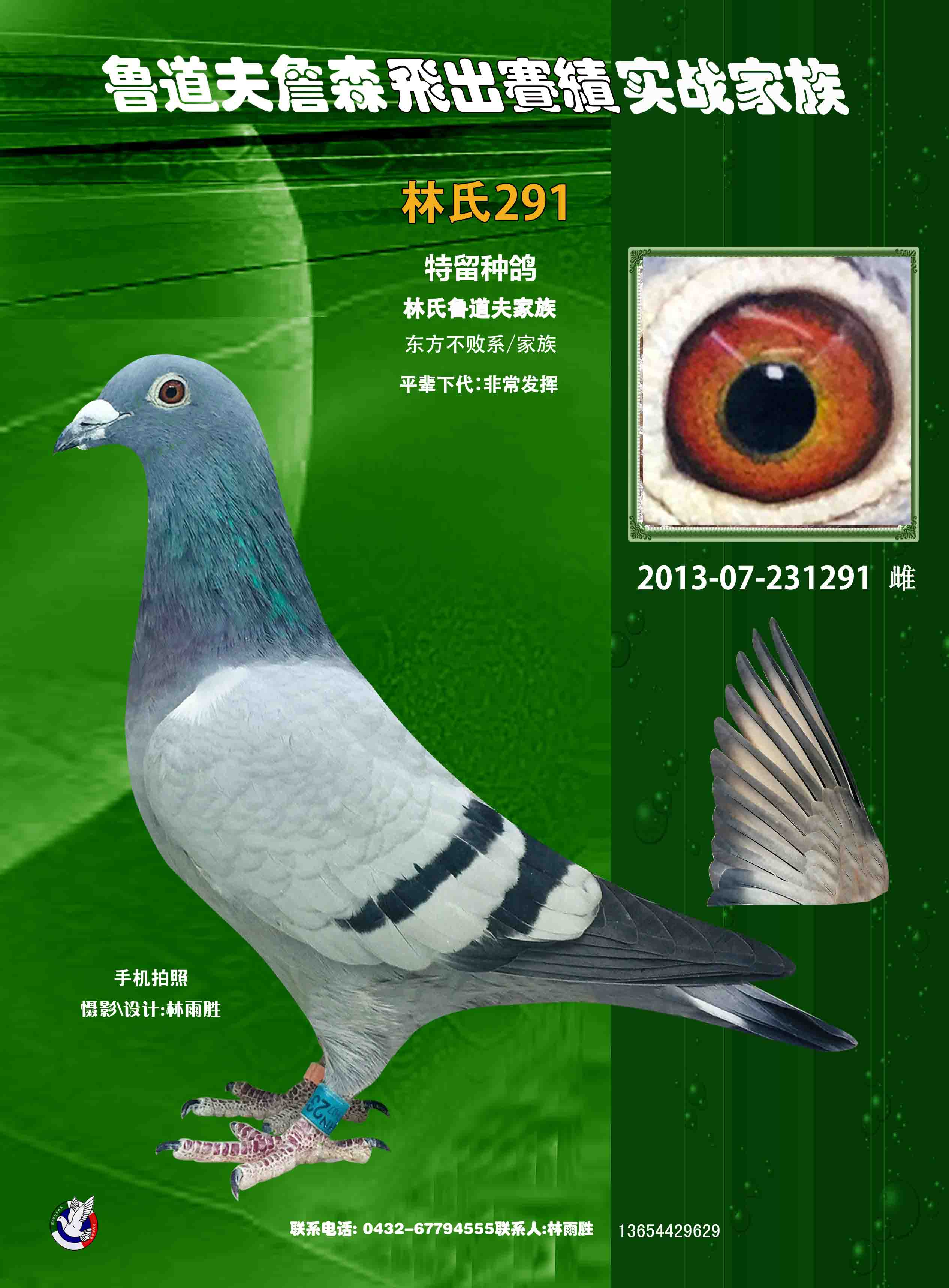 胡本x盖比