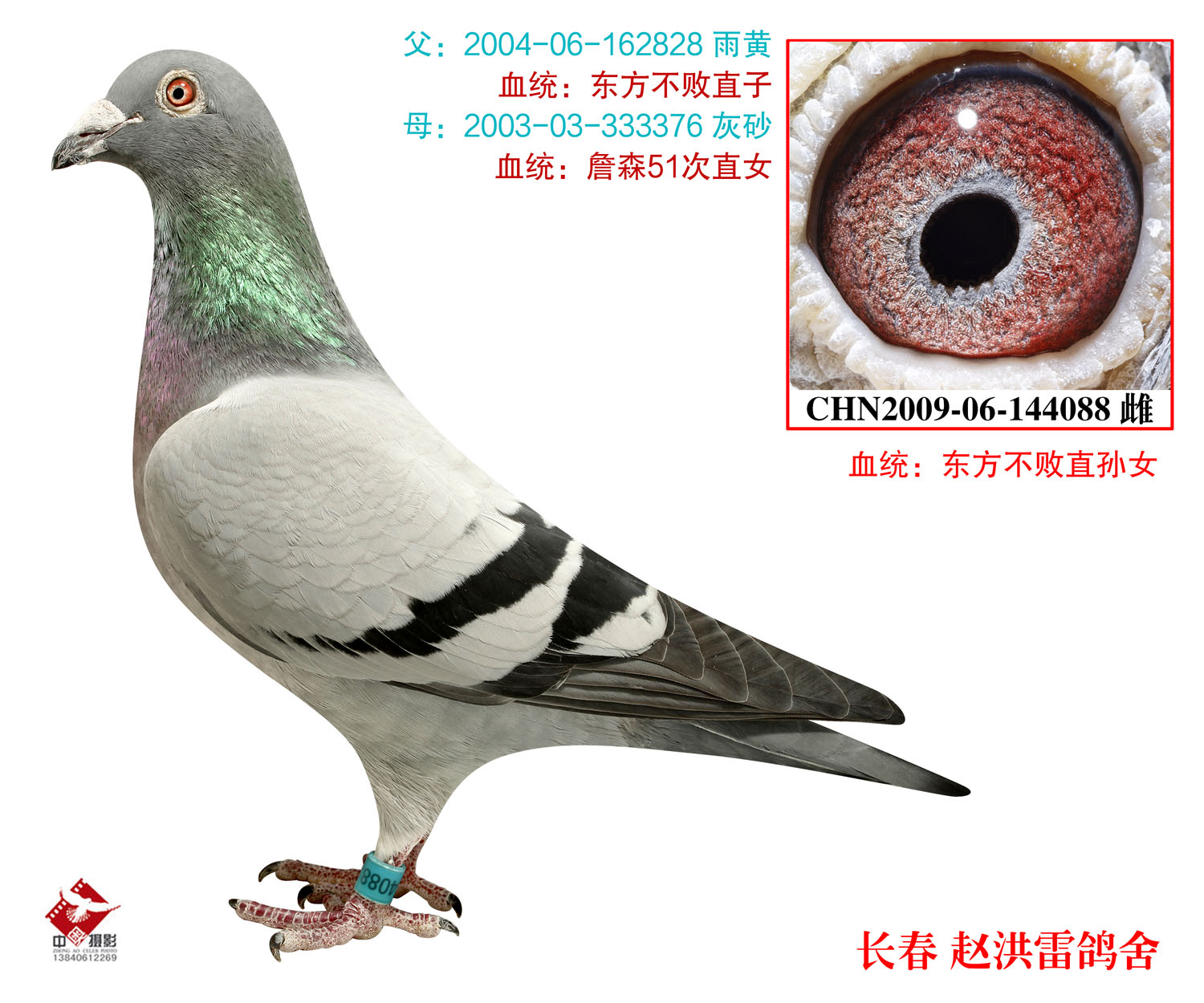 东方不败