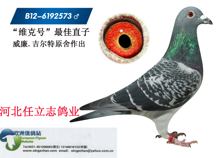 威廉.吉尔特原舍